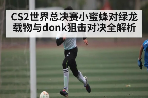CS2世界总决赛小蜜蜂对绿龙载物与donk狙击对决全解析